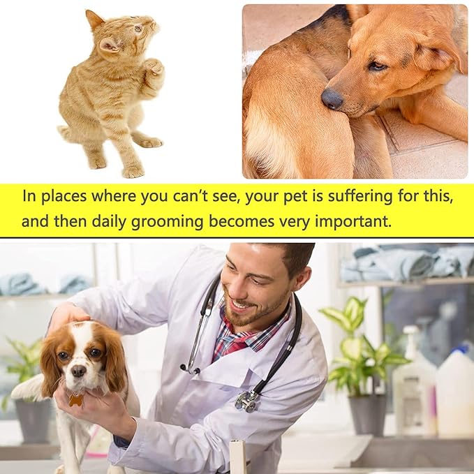 Lice Comb Flea Comb For Cats Dog Comb Pet Comb Set Metal Fine Tooth Comb Remove Tear Marks Float Hair Dandruff (A)