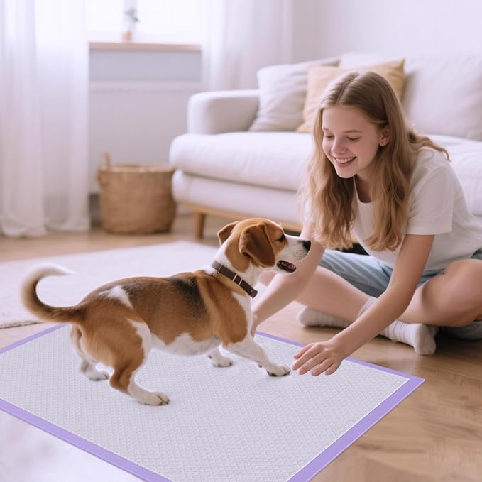 JollyMate 28"x34" Extra Large Dog Pee Pads 100 Counts, Leak-Proof Heavy Absorbent Pee Pads for Dogs, Quick Dry Disposable Puppy Pee Pads Slight Fresh Scented