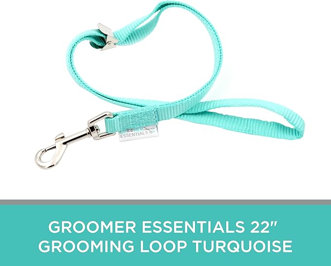 22" Grooming Loops in Turquoise - Secure and Stylish Restraints for Pet Grooming - Set of Essential Tools for Professional and Home Grooming