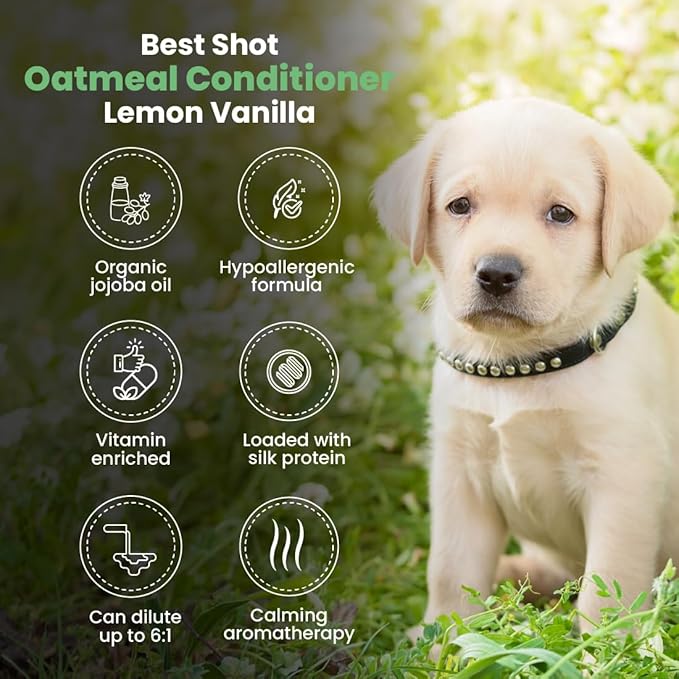 Best Shot Scentament Spa Oatmeal Protein Conditioner, Skin Care Product for Dogs and Cats, Hypoallergenic Puppy Supplies, Lemon Vanilla, 16 Ounces