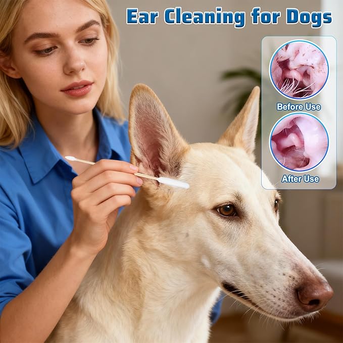 100PCS Long Cotton Dog Ear Swabs Double Sided Dog Ear Swabs 6 Inch Long Cotton Swab Large Double Sided Qtips Gentle Lint-Free Clean Wood Buds for Pet Dogs Ears Cleaning Wax Removal