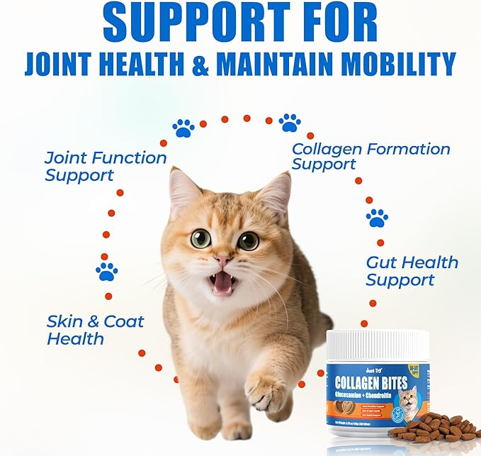 Just Try 300 Bites Collagen Bites Cat Treats for Cat Glucosamine Chondroitin, Collagen Supplements for Joint Health - Chicken Flavor - Cat Supplements 6.35 oz