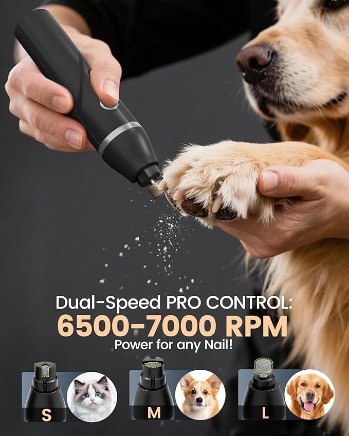 4 in 1 Dog Grooming Kit for Thick Hair, 2000mAh Heavy Duty Dog Clippers for Grooming, 2-Speed Low Noise Paw Trimmer with Nail Grinder for Body, Paws, Nail, Face, Ears, Legs