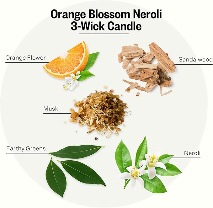 Apotheke 3-Wick Scented Candles for Home, Orange Bloom Neroli - 26 oz Soy Wax Jar Candle Gift for Women - Long-Lasting Fragrance with Perfume-Grade Essential Oils - Sandalwood, Musk, Neroli & Orange