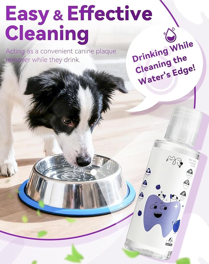 Dental Water Additive, Specialized Dental Care Formula，Natural Flavorless Teeth Cleaning Mouthwash, Freshens Dog Breath & Promotes Healthy Gums, Easy Daily Use for All Pet (200ML)