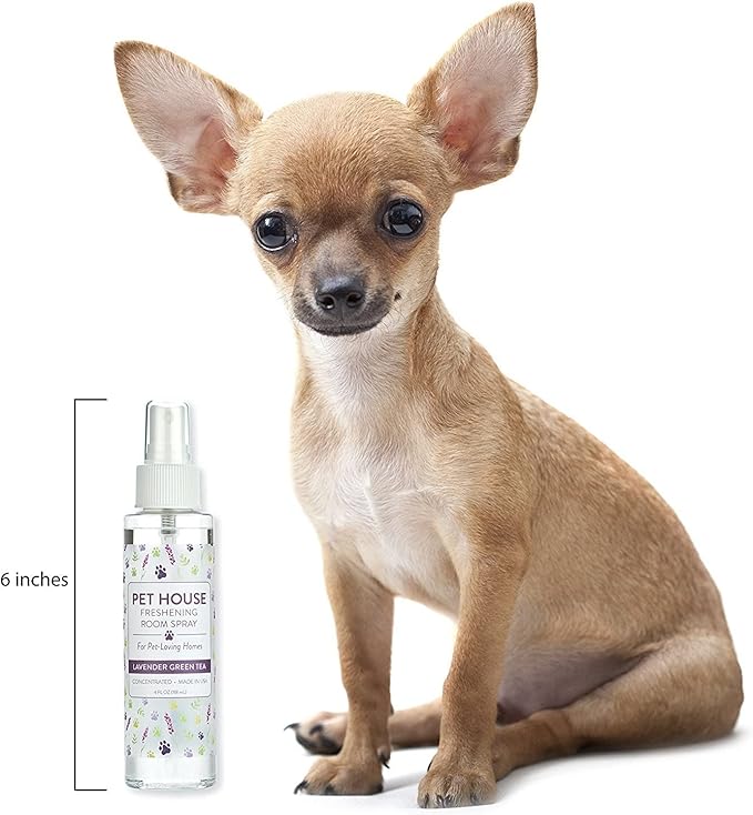 One Fur All Room Spray for Pet Odor, 4 OZ Concentrated Pet Friendly Air Freshener, Lavender Green Tea Pack of 1