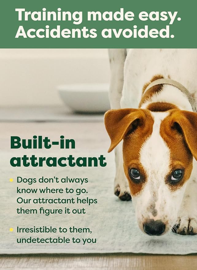 Earth Rated Max Absorbency Puppy Pee Pads for Dogs Absorbs 2X Faster & 2X More, Leak-Proof, Odor Control Potty Training, Unscented, Large, 22” x 23”, 75 Count