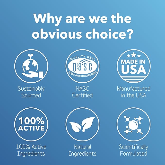 InClover Dog and Cat Dental Powder for Teeth Cleaning and Enamel and Gum Health, Natural Pet Supplement, Breath Freshener - Naturally Flush Away Tartar, No Brushing Necessary