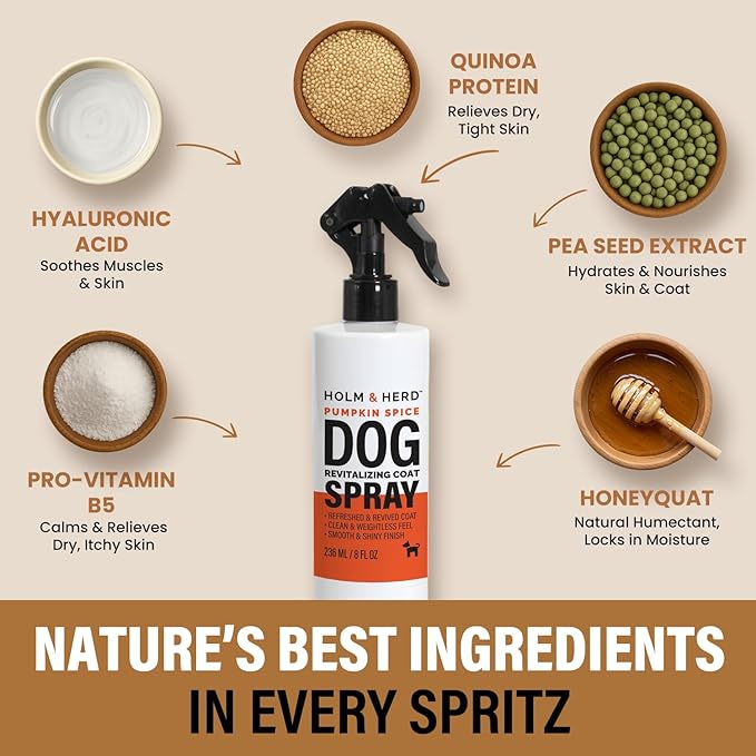 Dog Perfume Spray – Deodorizing Coat Spray for Dogs That Hydrates & Enhances Shine – Dog Cologne & Leave-in Conditioner – Pumpkin Spice 8oz