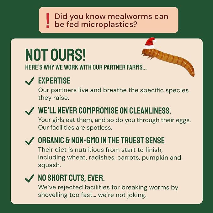 Hatortempt Dried Mealworms - 5 Lb, Non-GMO & Organic - High-Protein Mealworms for Wild Birds & Ducks, Chicken Treats & Bird Food