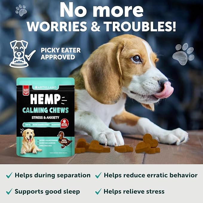 Hemp Calming Chews for Dogs - Dog Calming Chews - Dog Anxiety Relief Treats with Hemp Oil, Turmeric, Valerian, Ginger - Health and Wellness Supplements for Dogs - Hip and Joint Support - 70 Treats