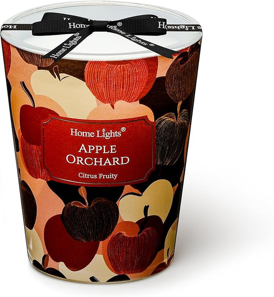 HomeLights Soy Wax Candles for Home Scented, 1-Wick Candles in Apple Orchard Scented, Aromatherapy Candles Gift for Parties, Relaxing, Eclectic Mixed Styles, 6.7oz