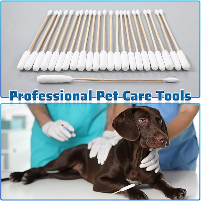 100PCS Long Cotton Dog Ear Swabs Double Sided Dog Ear Swabs 6 Inch Long Cotton Swab Large Double Sided Qtips Gentle Lint-Free Clean Wood Buds for Pet Dogs Ears Cleaning Wax Removal