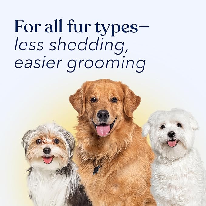 Honest Paws Dog Dry Shampoo - Waterless No Rinse Foaming Formula Reducing Itch Cleanse Hydrate Nourish Dry Skin and Smelly Coat Help Decrease Odor Shedding and Allergies - Oatmeal & Lavender - 6.3 oz