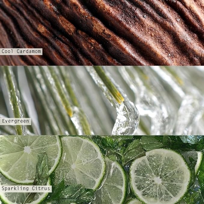 ILLUME Demi Vanity Tin Candle, Winter White