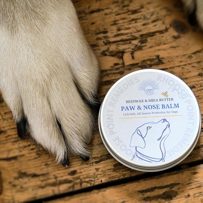 Rhoose Point Remedies Dog Paw Balm - Softens, Heals, Soothes & Protects Dogs Paws, Noses & Skin. All Natural, Organic Ingredients. Lick-Safe Protection for Dogs with Beeswax (5 fl.oz - Large Tin)