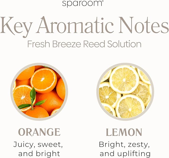 SpaRoom Reed Diffuser Oil Refill – Fresh Breeze Scent, 8oz Air Purifying Aroma for a Light and Open Feel, Ideal for Living Rooms or Hallways, Subtle Everyday Freshness for Whole Home Balance