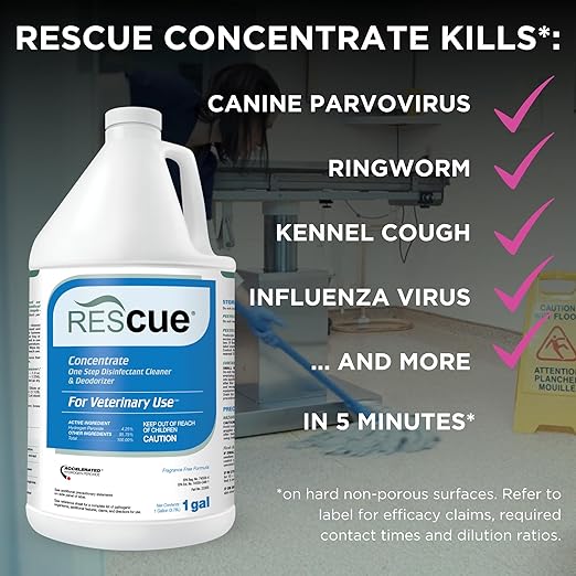 REScue Canister Wipes & Gallon Concentrate – Disinfectant Cleaner for Vet Use, Designed to Clean Kennels, Litter Boxes & More