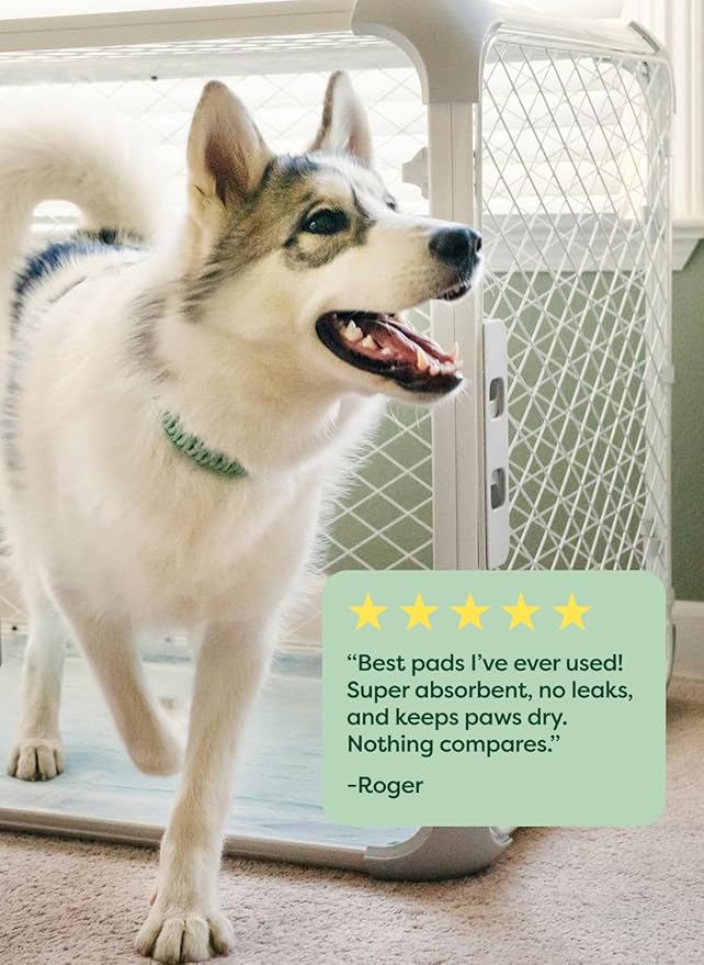 Earth Rated Max Absorbency Puppy Pee Pads for Dogs Absorbs 2X Faster & 2X More, Leak-Proof, Odor Control Potty Training, Unscented, XL, 28” x 34”, 40 Count