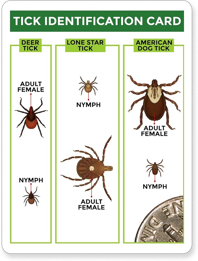 TickCheck Tick Remover Value 3 Pack - Tick Remover Tools + Tick Identification Card - for Humans, Dogs & Cats (1 Set)