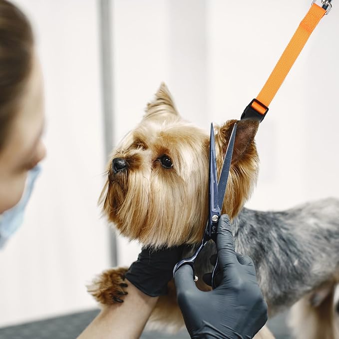 2 Pack Grooming Loops for Dogs Groomers Adjustable Nylon Groomers Helper for Dog Cat Pet Fixed Safety Rope Bathing Tether Straps Restraint