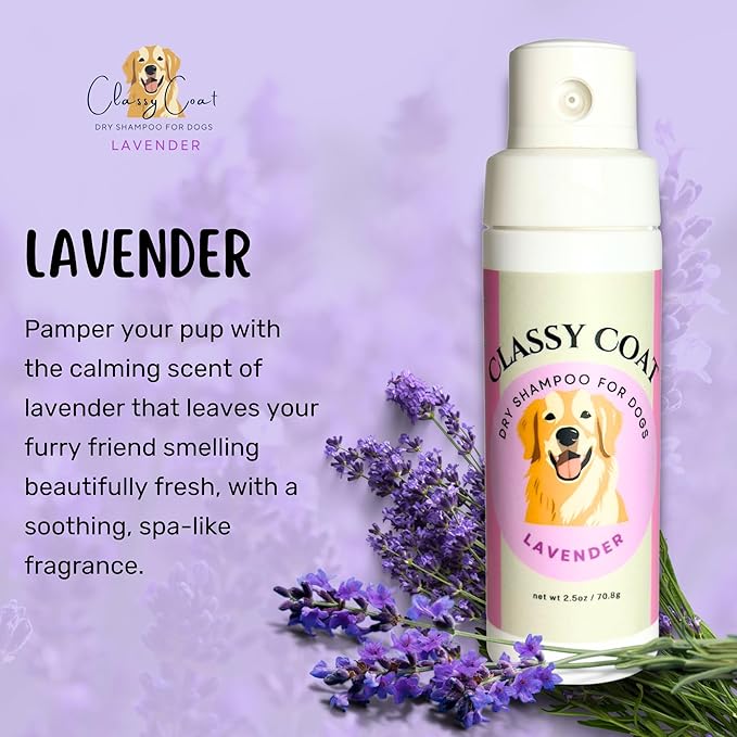 Dry Shampoo & Coat Deodorizer for Dogs (Lavender) | Waterless No-Rinse Squeeze Bottle Powder Formula | Calming Lavender Scent | Talc and Alcohol Free | Safe for Sensitive Skin | Made in USA