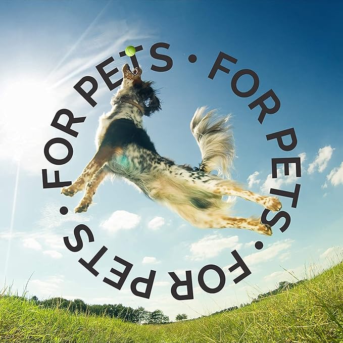 Bark2Basics Dog Ear Cleaner, 16 oz - All Natural, Witch Hazel, Gentle Aloe Vera and Chamomile Extract Base, Breaks Through Tough Wax