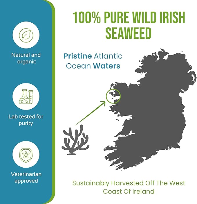 Caniclean Seaweed for Dogs Teeth - Dog Tartar Removal Tool, Plaque Remover, and Breath Freshener - Get Plaque Off Dogs Teeth Naturally. 14oz/396g.
