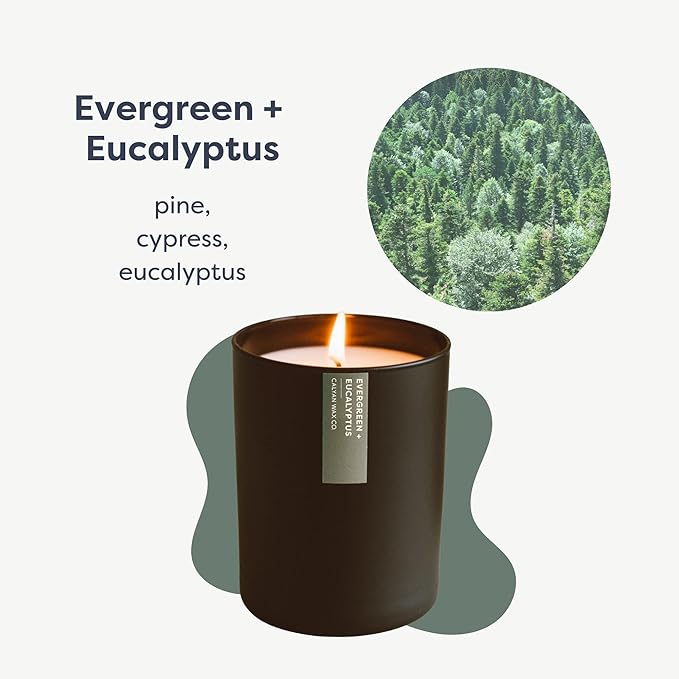 Calyan Wax Co. Soy Wax Candle, Evergreen + Eucalyptus Scented Candle, 75 Hour Burn Time, Aromatherapy Soy Candles, Non Toxic & Vegan Soy Wax, Black Tumbler Scented Candles, 10.2oz
