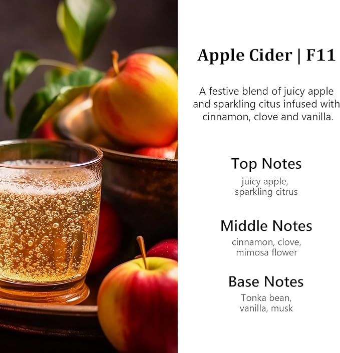 HoogaLife Car Air Freshener Diffuser 2 Pack Hanging Air Freshener Diffuser - Coconut Fragrance Oil Air D iffuser for Car, 45+ days Long Lasting Fragrance Made in USA （F11）