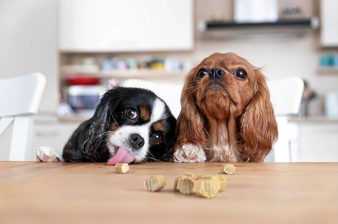 Hive Dog Training Treats 2 Pack Ñ Healthy, Non-GMO Project Verified, Natural Peanut Butter Flavored, Vegetarian, Grain Free Dog Treat for Small and Large Dogs, Made in The USA