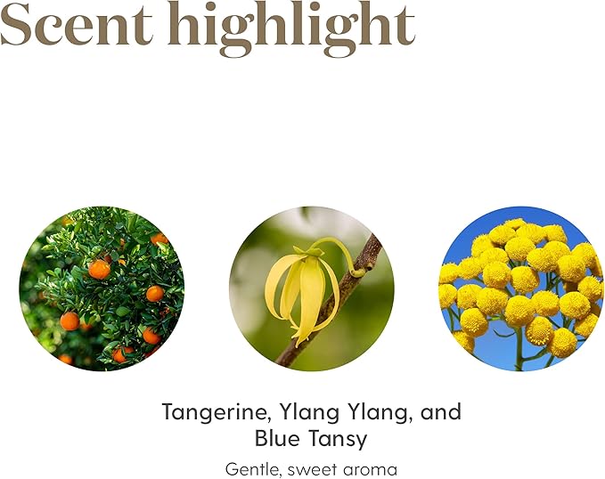 Young Living Peace & Calming Essential Oil 15ml - Pure & Tranquil Aromatherapy - Relax, Unwind, and Find Inner Peace - Topical & Aromatic - Blue Tansy, Orange, Tangerine, Patchouli, and Ylang Ylang