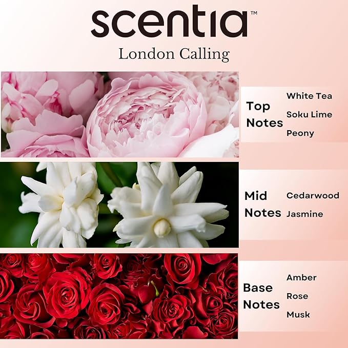 Scentia Hotel Diffuser Oil Inspired by Ferrari - 20 ml 0.67 fl oz - Essential Oil Blend White Tea, Cedarwood & Soku Lime for Aromatherapy Diffusers and Humidifiers - London Calling, Thanksgiving Gift