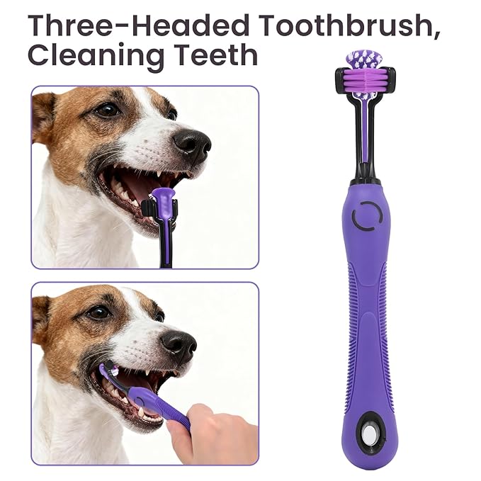 Pet Grooming Kit 9-in-1For Dogs and Cats: Deshedding Brush, Nail Clippers & Massage Glove for Daily Grooming, Shed Control & Bonding at Home – Essential Tools for Pet Owners