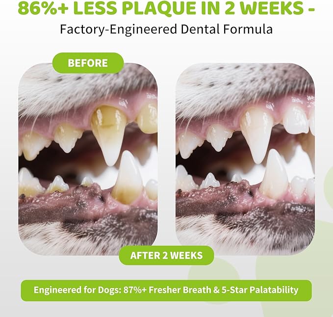 Iron Paws Dental Powder for Dogs 200g - 90 Day Supply, Enzymatic Teeth Cleaning Powder & Breath Freshener, Plaque & Tartar Remover for All Dog Breeds