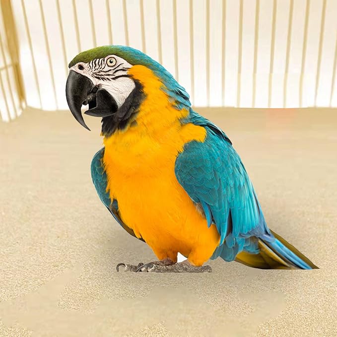 20 Pack Gravel Paper for Bird Cage, 17 x 11 inch Bird Cage Gravel Liner, Parrot Grinding Sandpaper, Easy Clean Pet Sandpaper, Calcium Paper with Sea Sand for Parakeets Cockatiels Conures Lovebirds