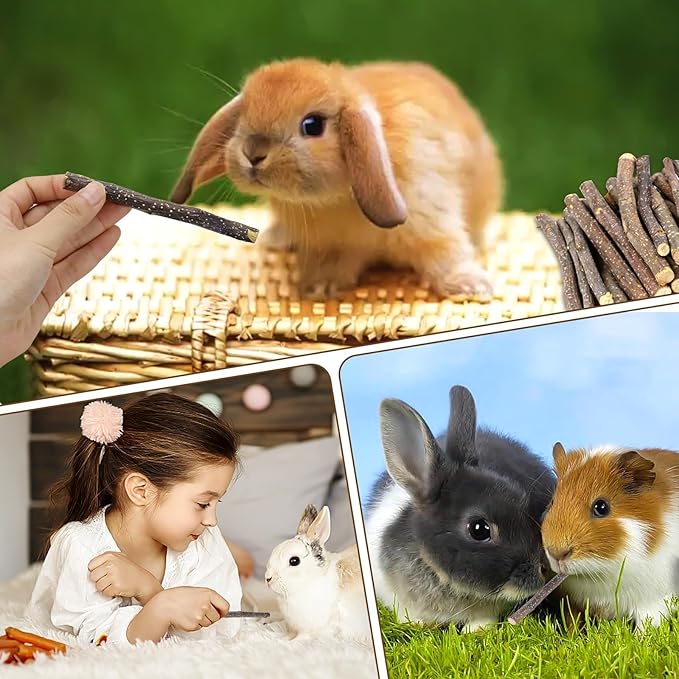 2lb(900g) Small Apple Sticks for Rabbits, Animals Molar Wood Treats Toys for Chinchillas Guinea Pig Hamster Gerbil Parrot Bunny and Small Animals Chew Stick Toys Treats