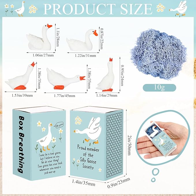 25 Set Employee Appreciation Gifts Bulk Coworkers Thank You Desk Pets Holiday Small Cute Emotional Support Resin Ornaments Card Box for Women Men Adults Office (Goose)