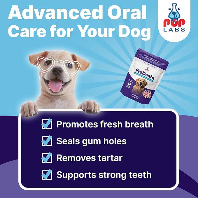 ProDenta, All-Natural Dog Dental Powder for Teeth Cleaning, Dental Powder for Dogs Teeth with Breath Freshener. Easy to use for Tartar Removal and Leaky Gums. Made in USA, 30 Servings