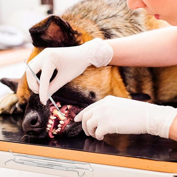 4 Pack Stainless Steel Pet Dental Tools for Dogs and Cats, Professional Tartar Remover Scraper Kit for Teeth Cleaning, Plaque and Calculus Control, Oral Care Hygiene for Home or Vet Use