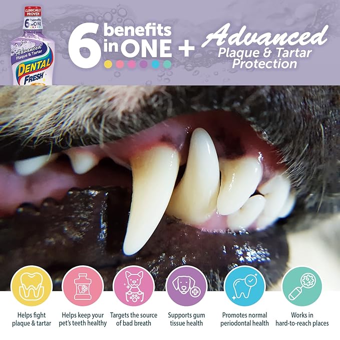 Dental Fresh Advanced Plaque and Tartar Water Additive, 32oz – Dog Teeth Cleaning Formula to Freshen Breath and Improve Cat & Dog Dental Care