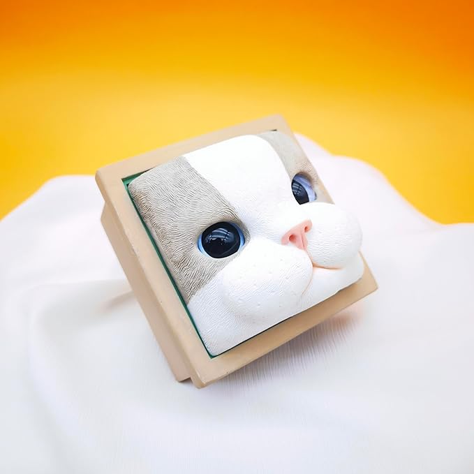 Cat Keepsake Box Memory Decorative Box Cat Portrait Gifts For Pet Owners And Pet Lovers Holds Jewelry Cat's Whiskers Fur and as a Memory Box(Ragdoll Cat)