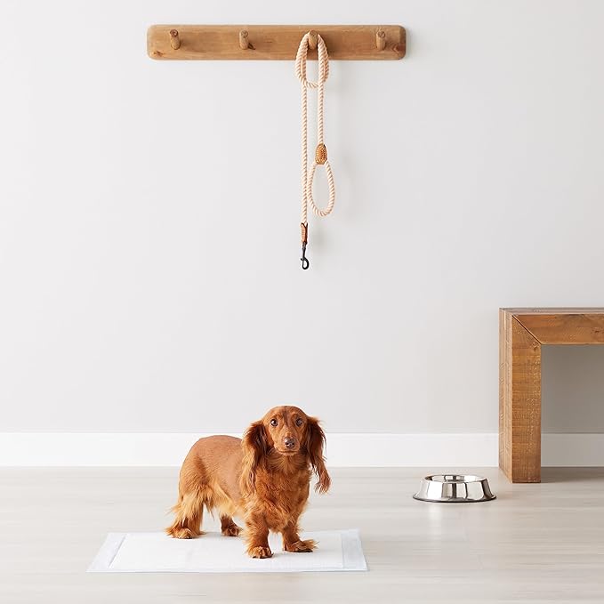 Amazon Basics Dog and Puppy Pee Pads, 5-Layer Leak-Proof Super Absorbent, Quick-Dry Surface, Potty Training, Regular (22x22"), 50 Count, Blue & White