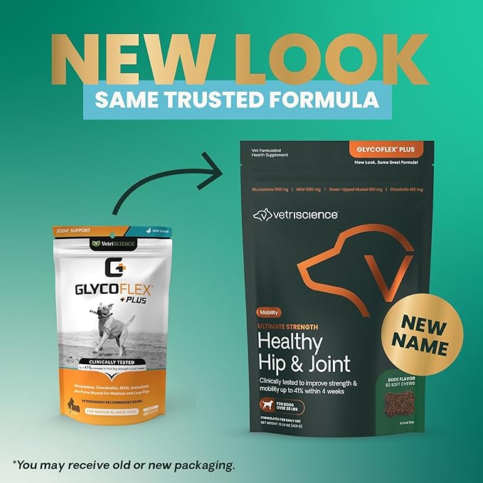 VetriScience Ultimate Strength Hip & Joint Supplement for Dogs, GlycoFlex Plus – MSM, Chondroitin & Green-Lipped Mussel Chews for Mobility, Flexibility, Comfort & Support, Duck Flavor, 60 Cnt