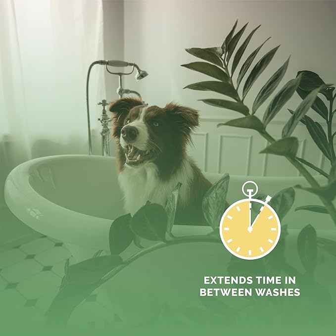 Bark2Basics Salon Scents Pet Grooming Cologne - 8 oz, Natural Professional Perfume for Dogs and Cats, Long Lasting, Deodorizing, Made in The USA (Lavender Chamomile)