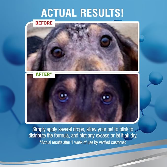 PetSilver Eye Drops for Dogs and Cats - Natural Dog Eye Wash - Relief for Inflammation & Irritation - Pet Eye Cleaner and Tear Stain Remover - Patented Silver Formula - Made in The USA - 4 fl oz