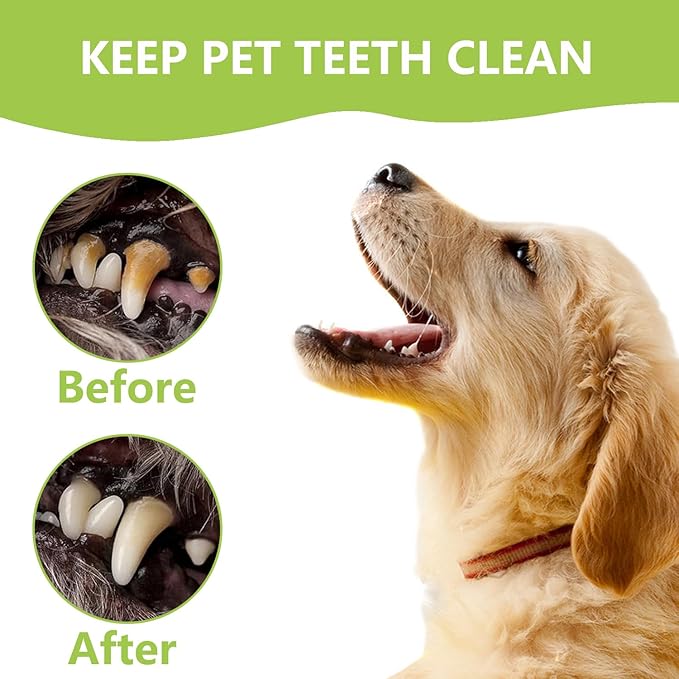 8 Pcs Dental Tools Pet Dog Teeth Cleaning Tool Kit, Stainless Steel Dental Picks Mouth Mirror Tooth Scraper Plaque Tartar Remover, Pets Oral Care Hygiene Set for Dogs and Cats Use with Case