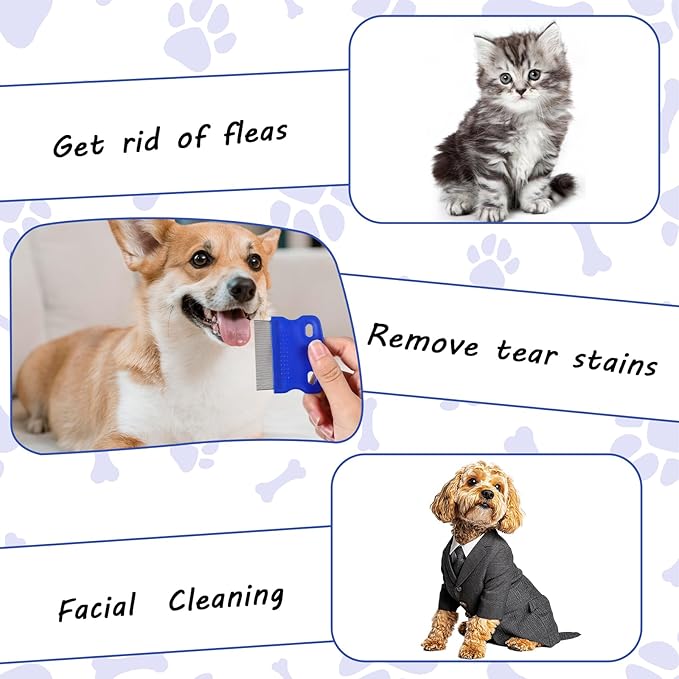 Eye Comb for Pets, 6 Pcs Flea Lice Comb Professional Pet Tear Stain Remover Dog Cat Grooming Combs Stainless Steel Combs Dematting Tool for Small Medium Pets