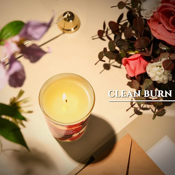 HomeLights Soy Wax Candles for Home Scented, 1-Wick Candles in Apple Orchard Scented, Aromatherapy Candles Gift for Parties, Relaxing, Eclectic Mixed Styles, 6.7oz