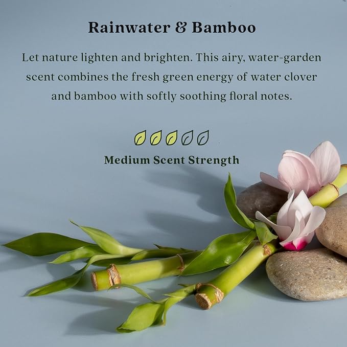 Enviroscent Non-Toxic Air Freshener for Home | Essential Oil Diffuser | Air Freshener & Room Freshener | Home Fragrance Last Over 30 Days | 32 Scent Stix Refills (Rainwater & Bamboo)